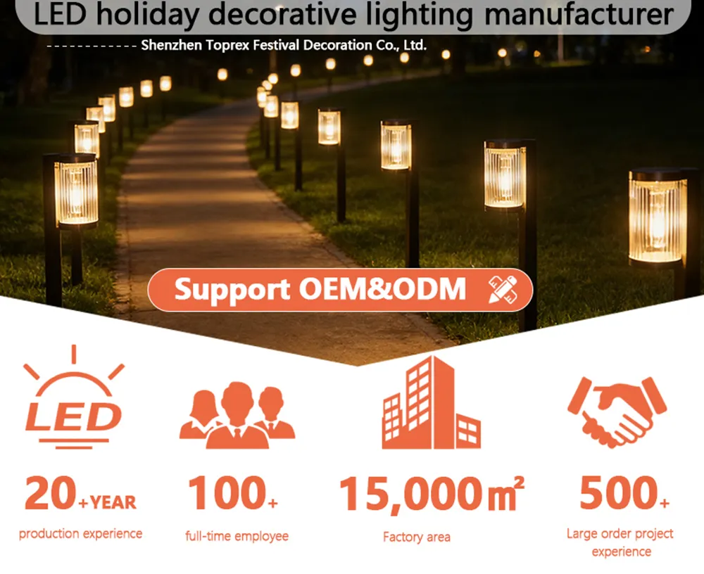 Solar LED Pathway Light Main