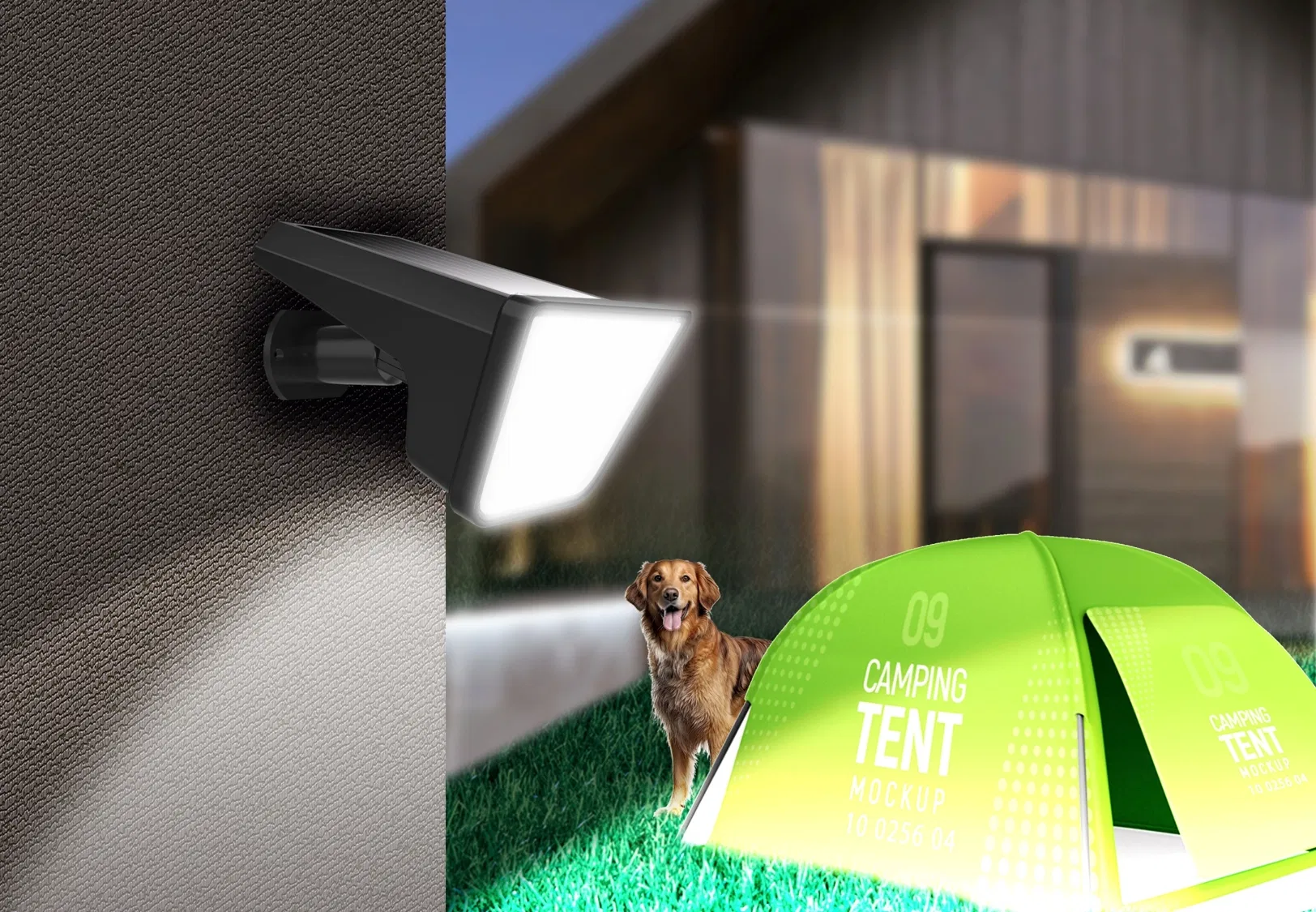 Solar Light