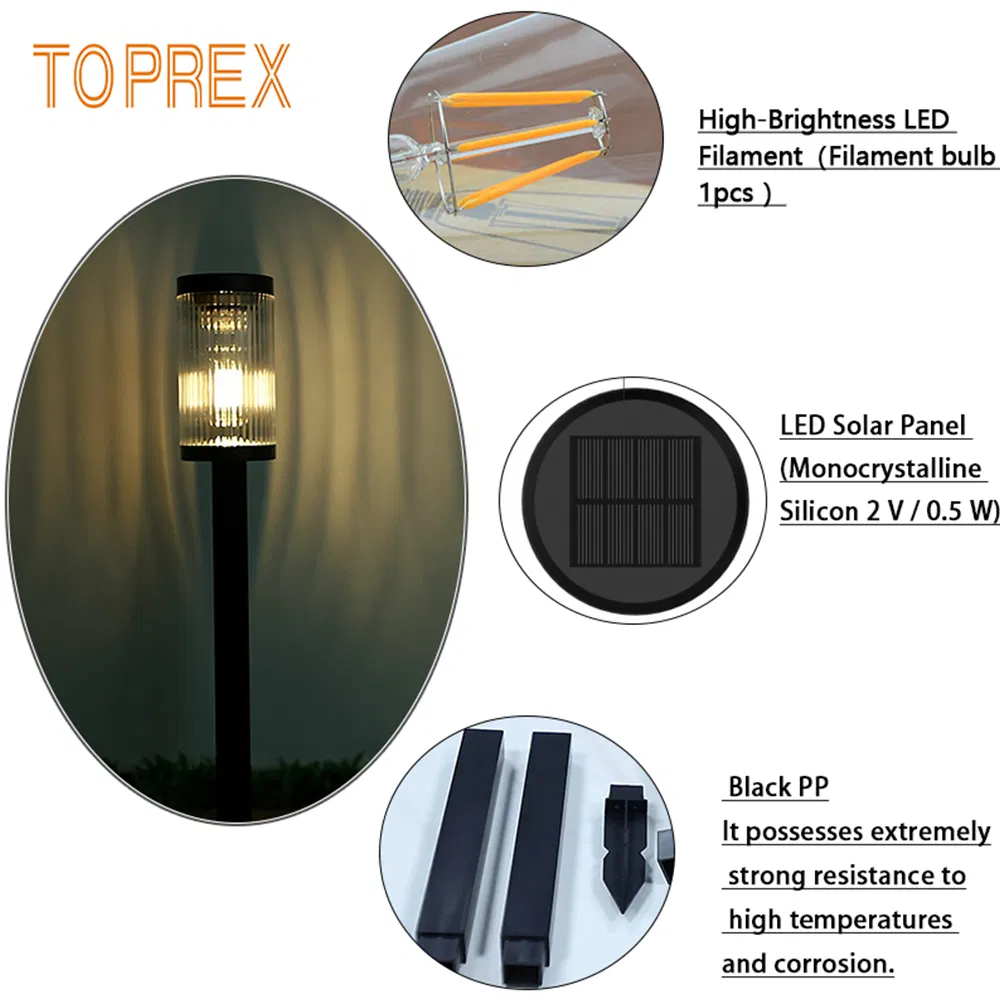 Solar LED Pathway Light Night View