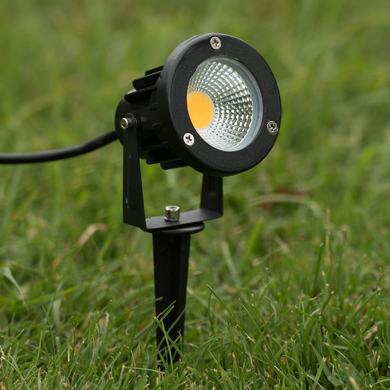 Outdoor spotlight detail 1