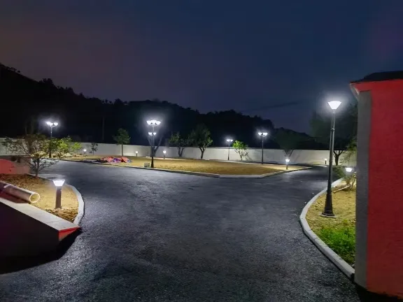 Night View 1
