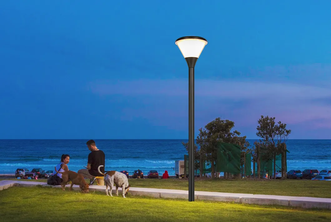 Night View Application