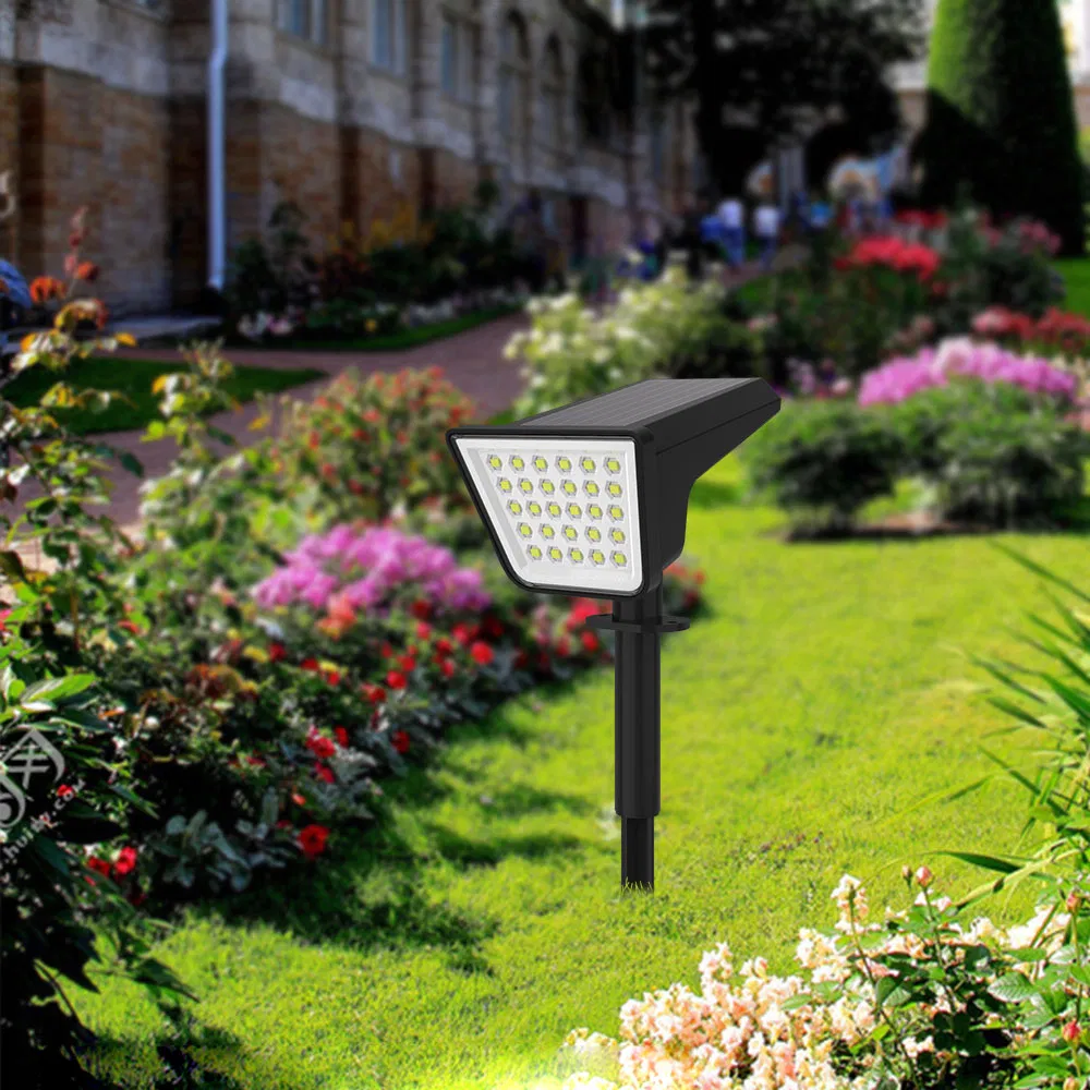 Solar Light