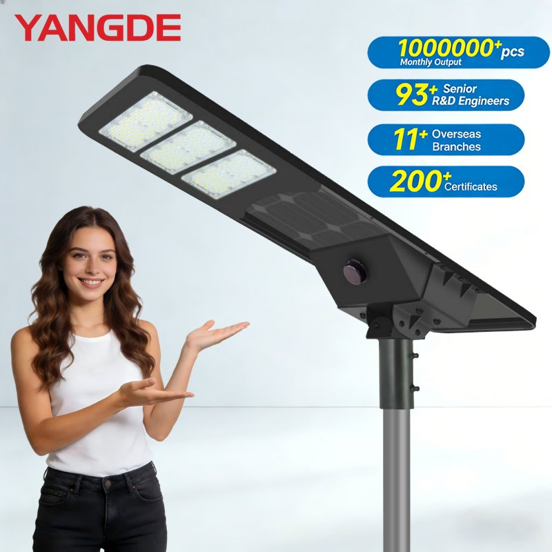 Outdoor Waterproof 100W Integrated Solar LED IP67 Garden Street Light with Good Pirce