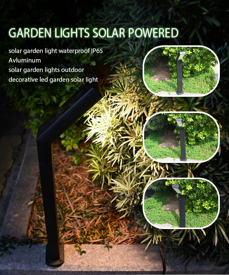 Solar Garden Light Highlight 1