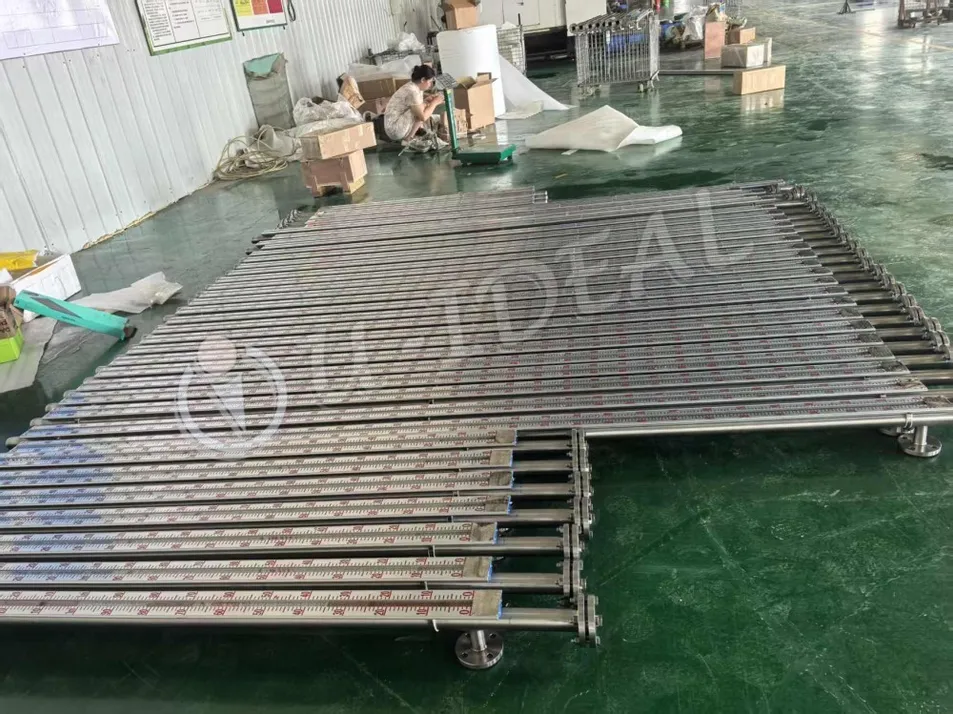 Magnetic Float Indicator