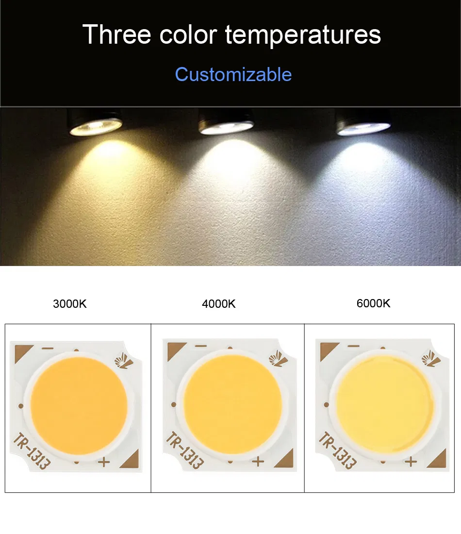COB LED Detail
