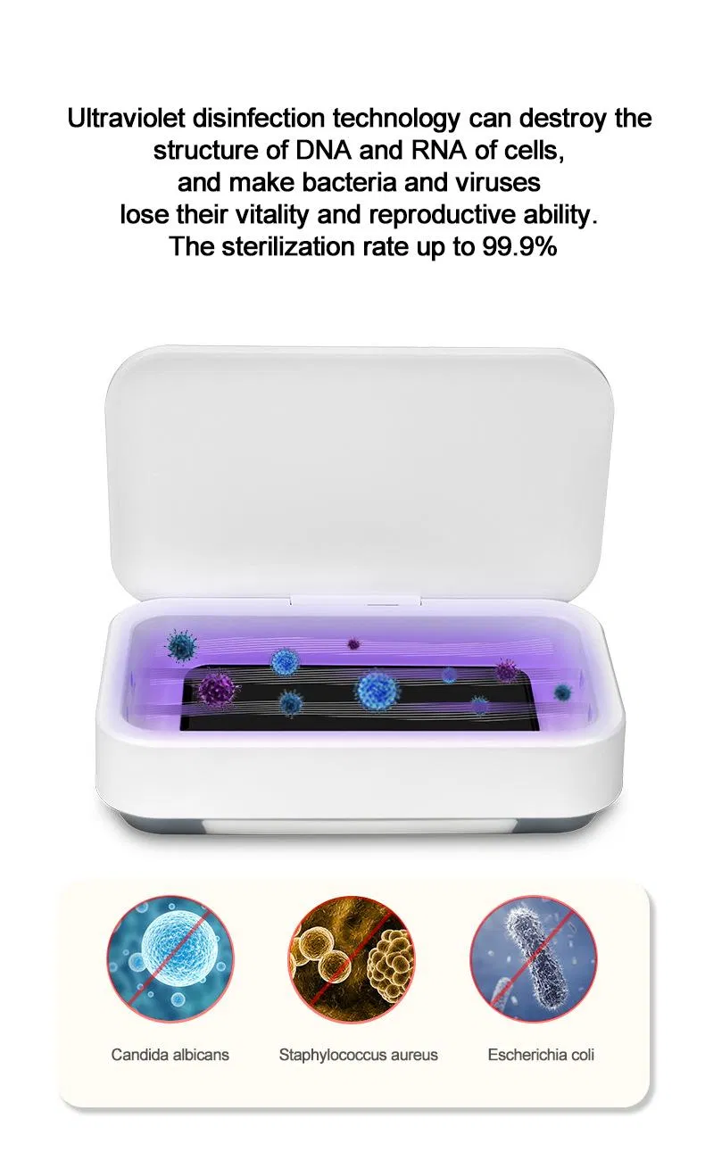 UV Disinfection Detail 2