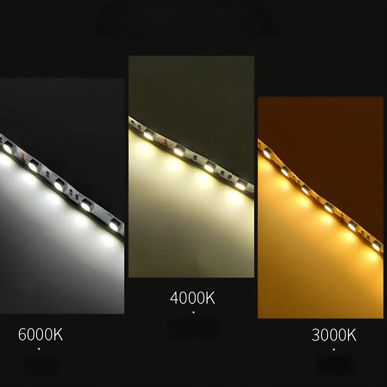 3014/2835/5050 Multi Chip LED Strip Light 12V/24V Tunable White/RGB IP65 Waterproof Flexible