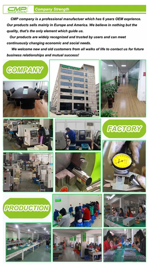 Product Portrait View