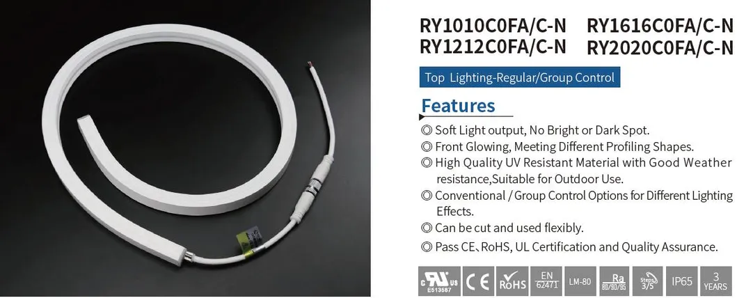 Silicone Neon Flex LED Light Strip