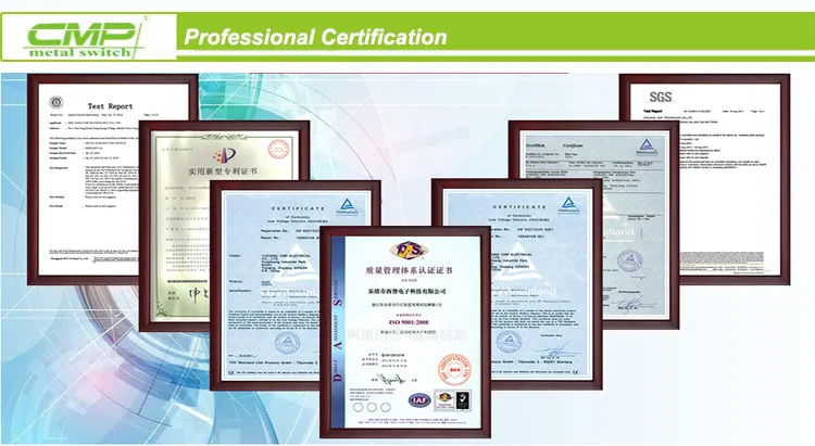 CE RoHS TUV Certification