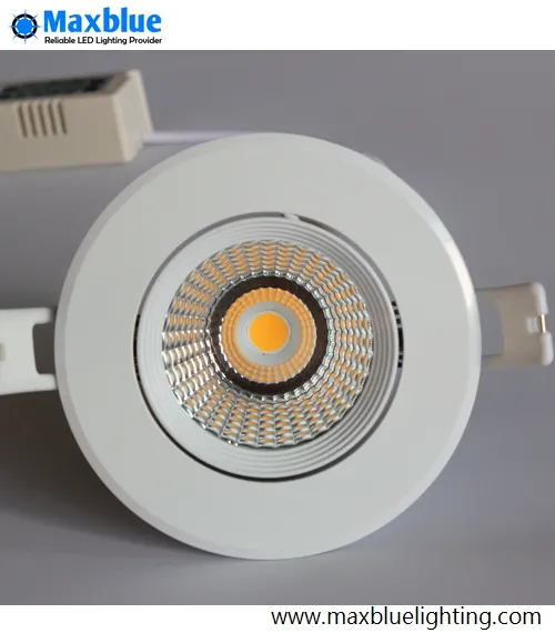 LED Downlight View 1