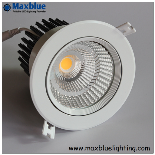 Cut Hole Size 140mm 30W 35W CREE/Epistar COB LED Downlights