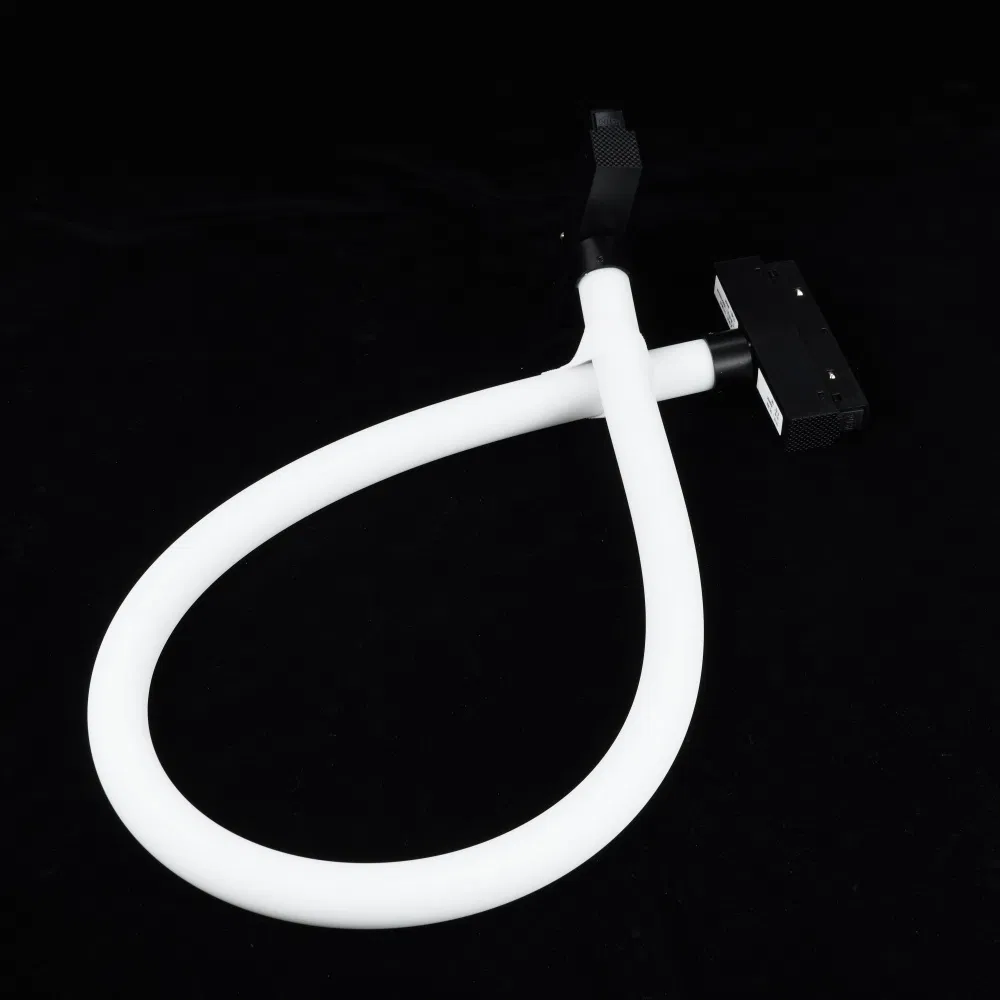 24V 240LEDs LED Neon Flex 360 Degree Diameter Round Shape IP67 LED Neon Tube Flexible Strip Light