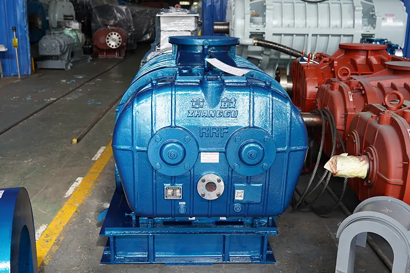 RR Series Roots Blower 7