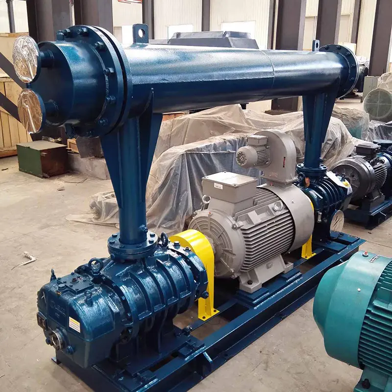 Famous TRR Two-Stage Roots Blower – High Pressure Roots Blower with Maximum Efficiency Manufacturers, Supplier