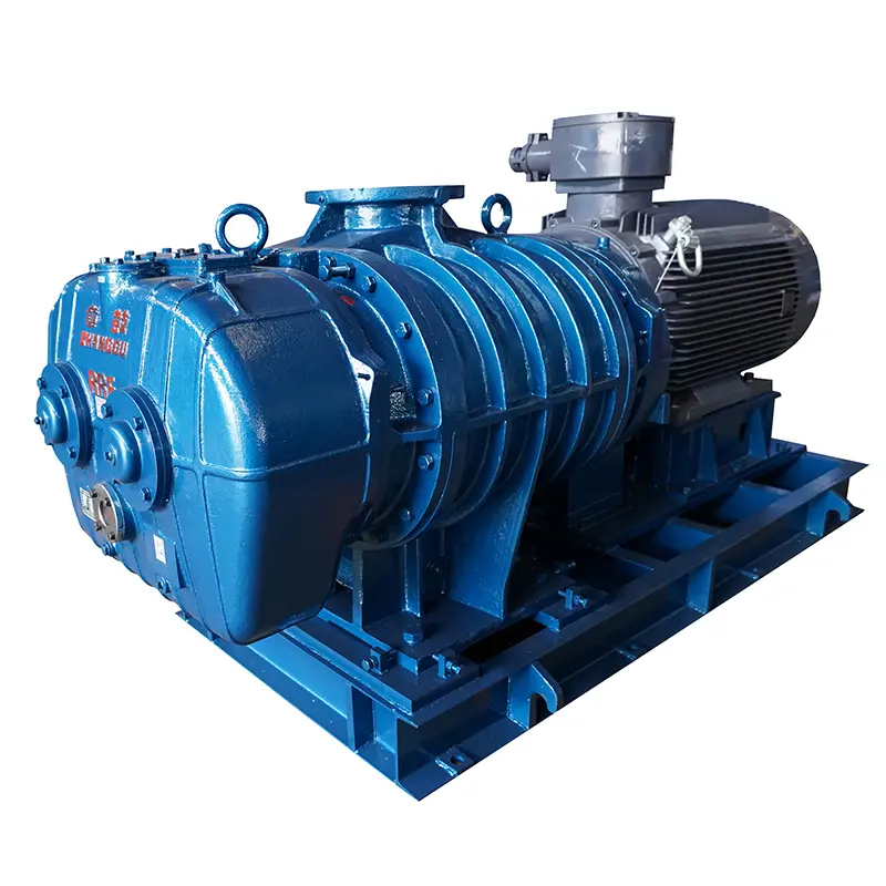 Best RR Series Roots Blower & Vacuum Pump – Versatile, Durable, and Precisely Engineered Suppliers, Company