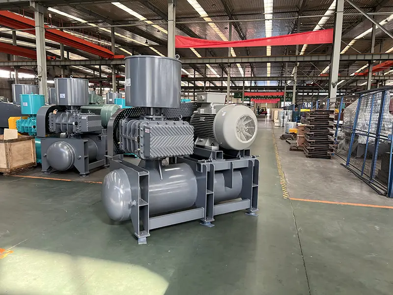 ZG-Series-19
