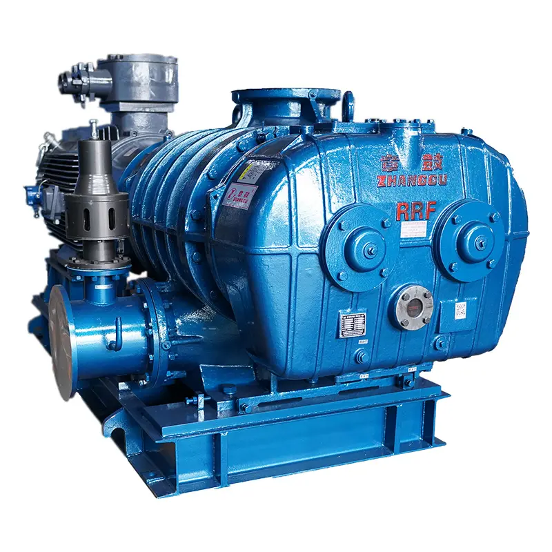Best RR Series Roots Blower & Vacuum Pump – Versatile, Durable, and Precisely Engineered Suppliers, Company