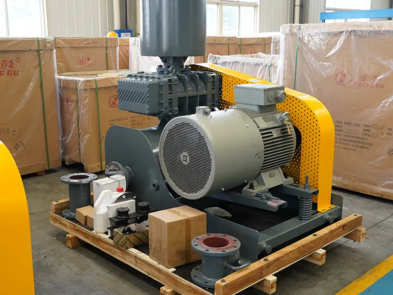 ZG-Series-13