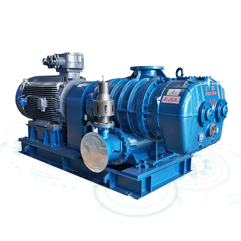 Best RR Series Roots Blower & Vacuum Pump – Versatile, Durable, and Precisely Engineered Suppliers, Company