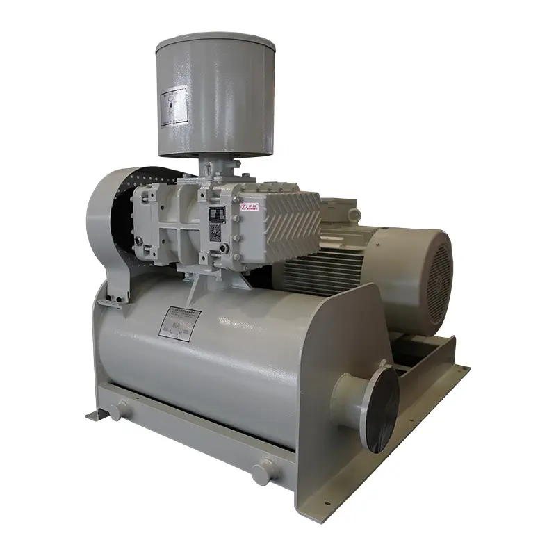 Cheap ZW Series Roots Blower – High-Speed, Compact, and Ultra-Efficient Air Blower for Industrial Use Companies, Company