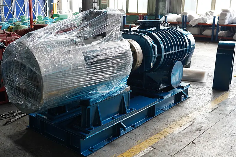 RR Series Roots Blower 9