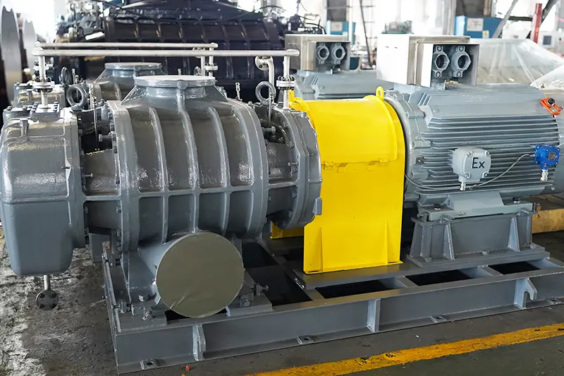 RR Series Roots Blower 5