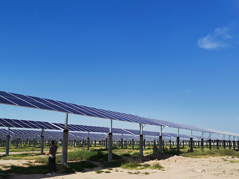 50MW SPIC utility-scale solar tracker project