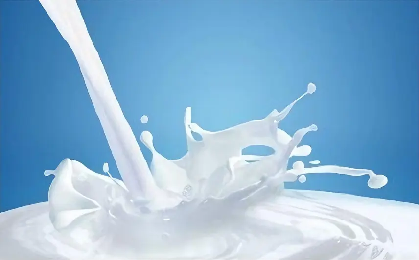 Food and Beverage Industry