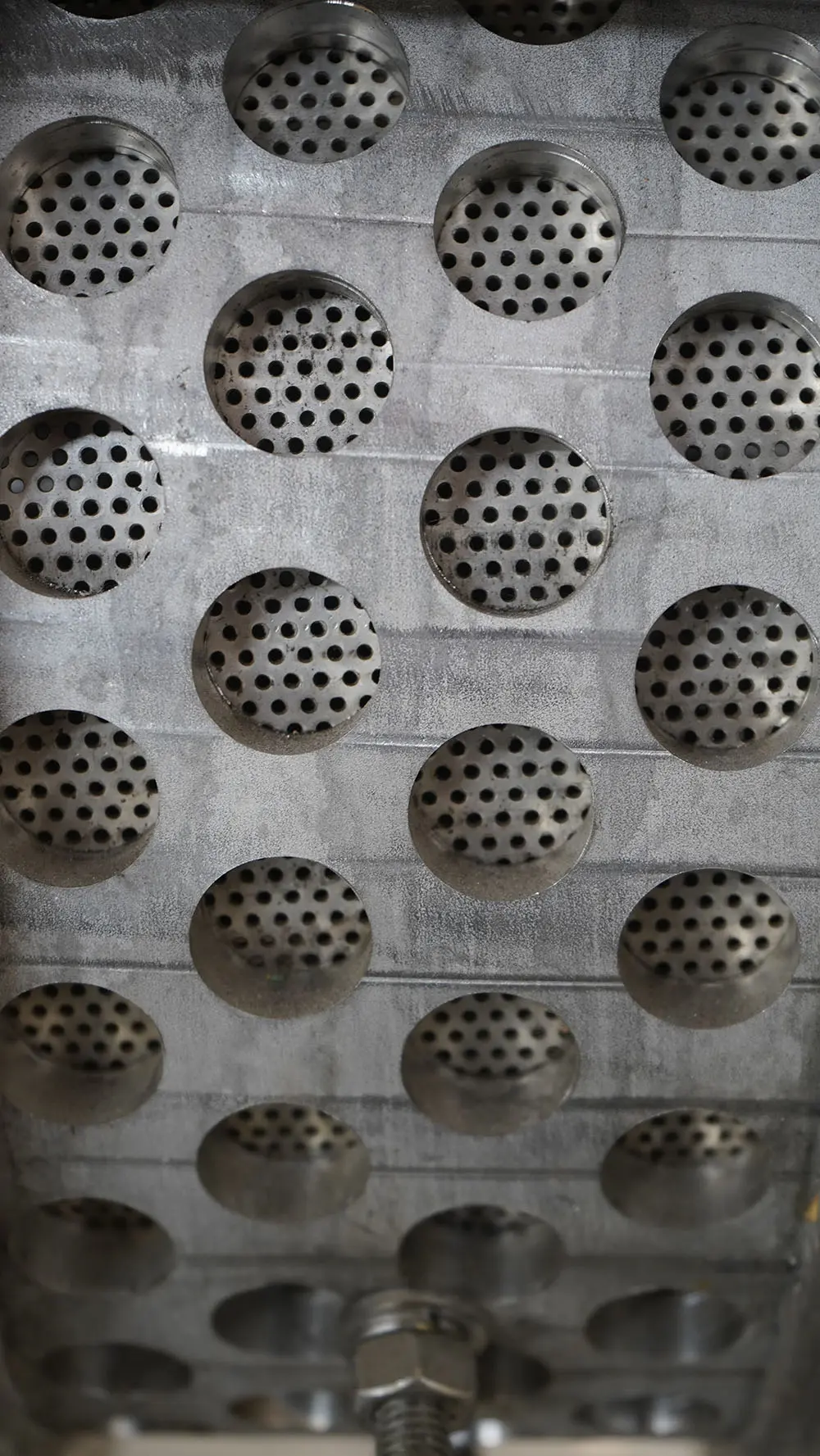 Single Screw Press Detail (3)