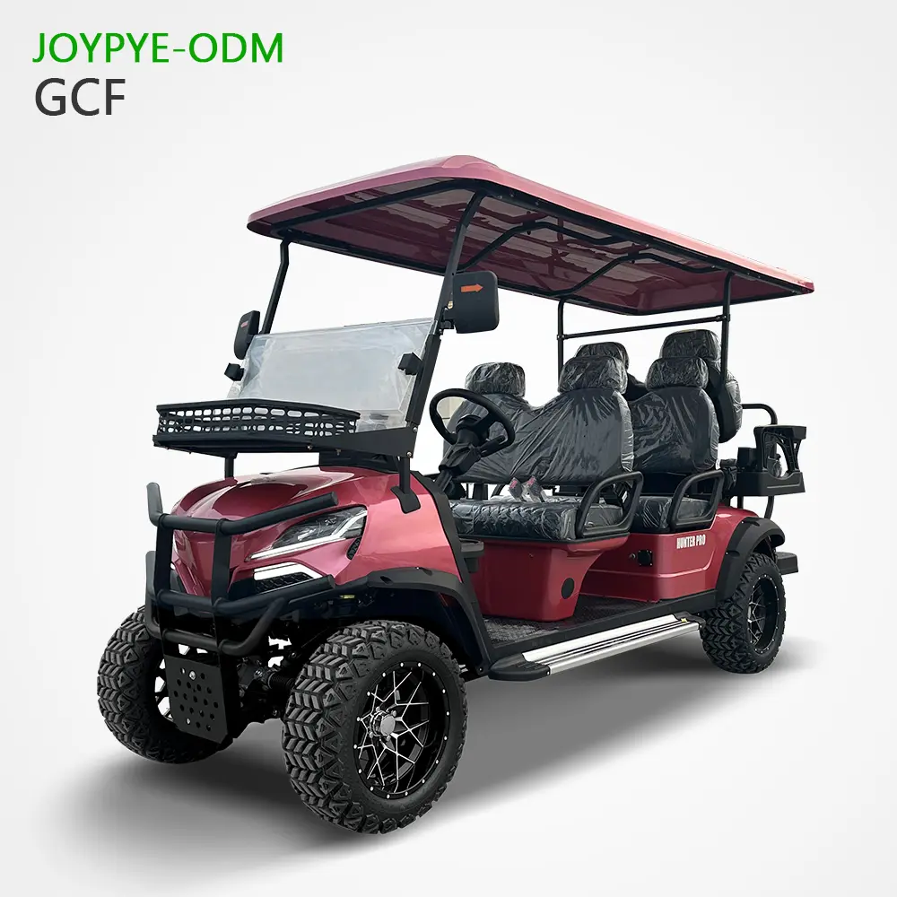 China Factory Suppliers: Customizable Electric Golf Carts for 2-10 Passengers - Affordable and Eco-Friendly Solution