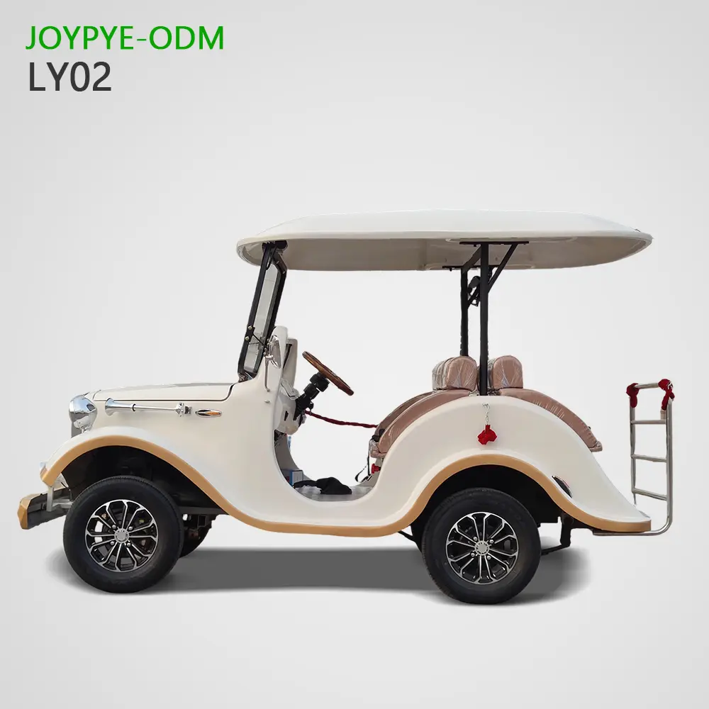 China Suppliers Factory Vintage 5-14 Seater Customized Sightseeing Cars - Joypye ODM Quality Vehicles