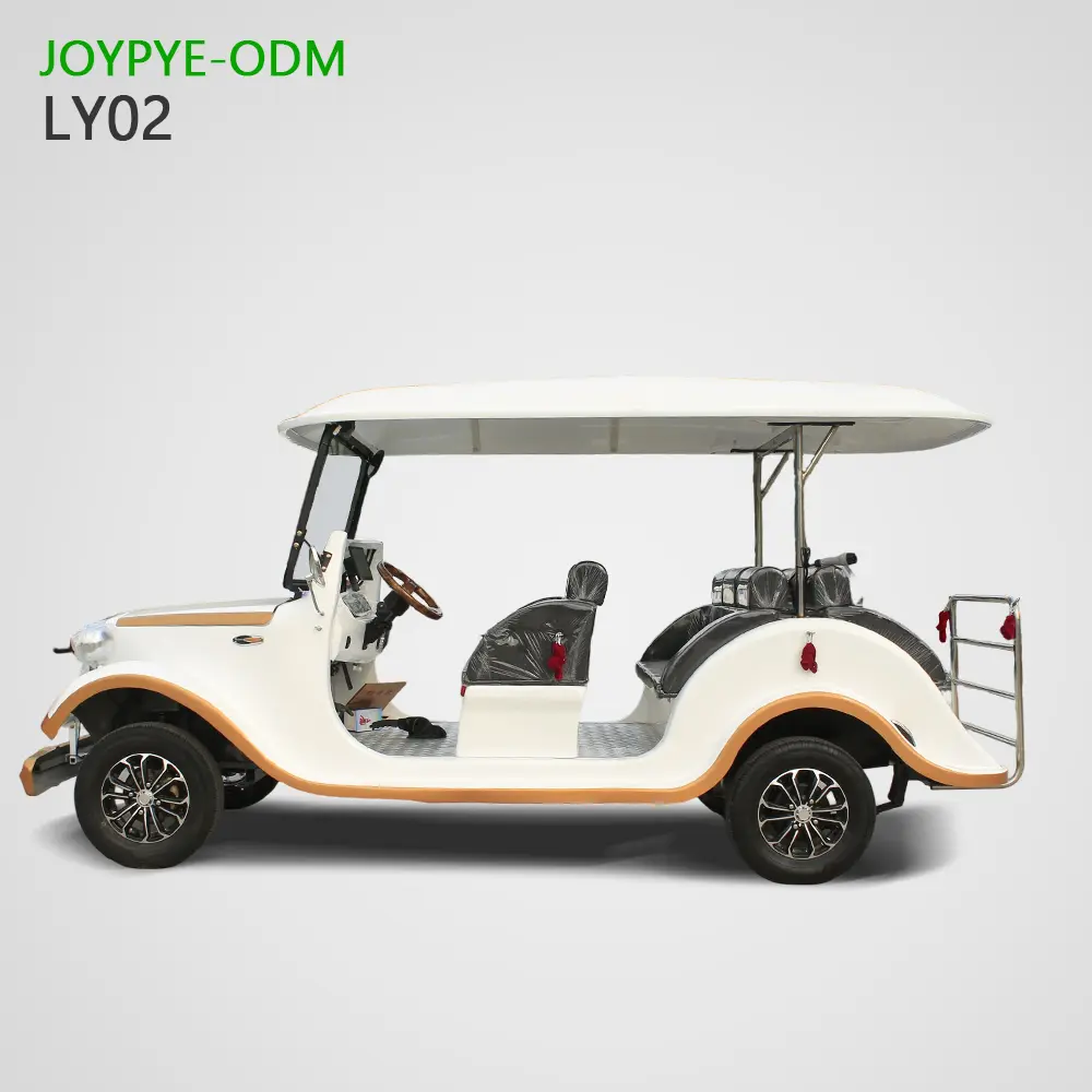 China Suppliers Factory Vintage 5-14 Seater Customized Sightseeing Cars - Joypye ODM Quality Vehicles