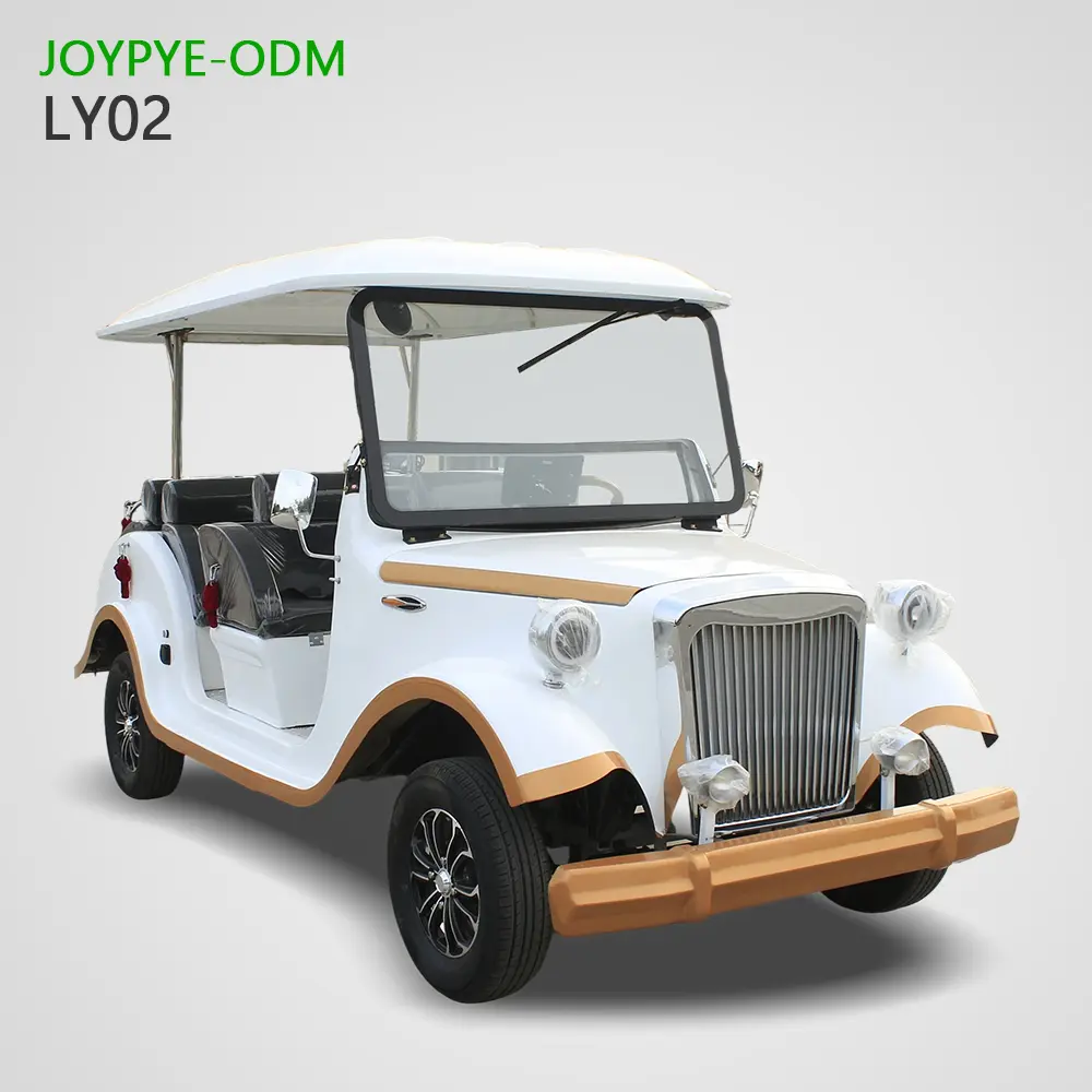 China Suppliers Factory Vintage 5-14 Seater Customized Sightseeing Cars - Joypye ODM Quality Vehicles