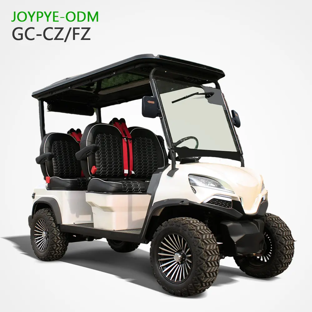 China Suppliers Factory Customizable Electric Golf Carts 2-8 Seater Battery-Powered Golf Buggy for Adults