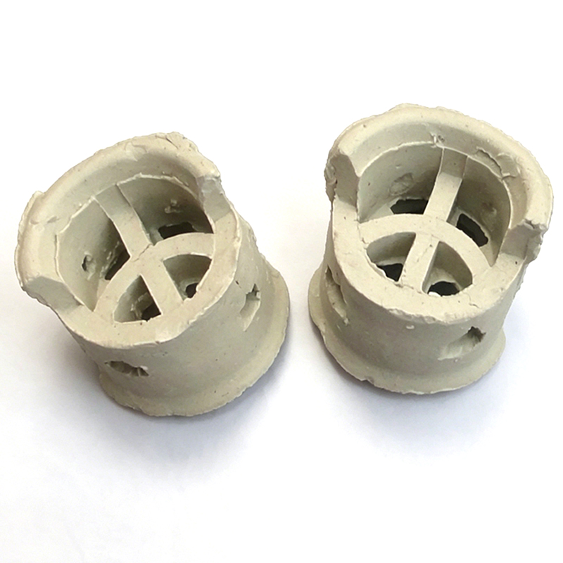 Ceramic Conjugate Ring Close-up