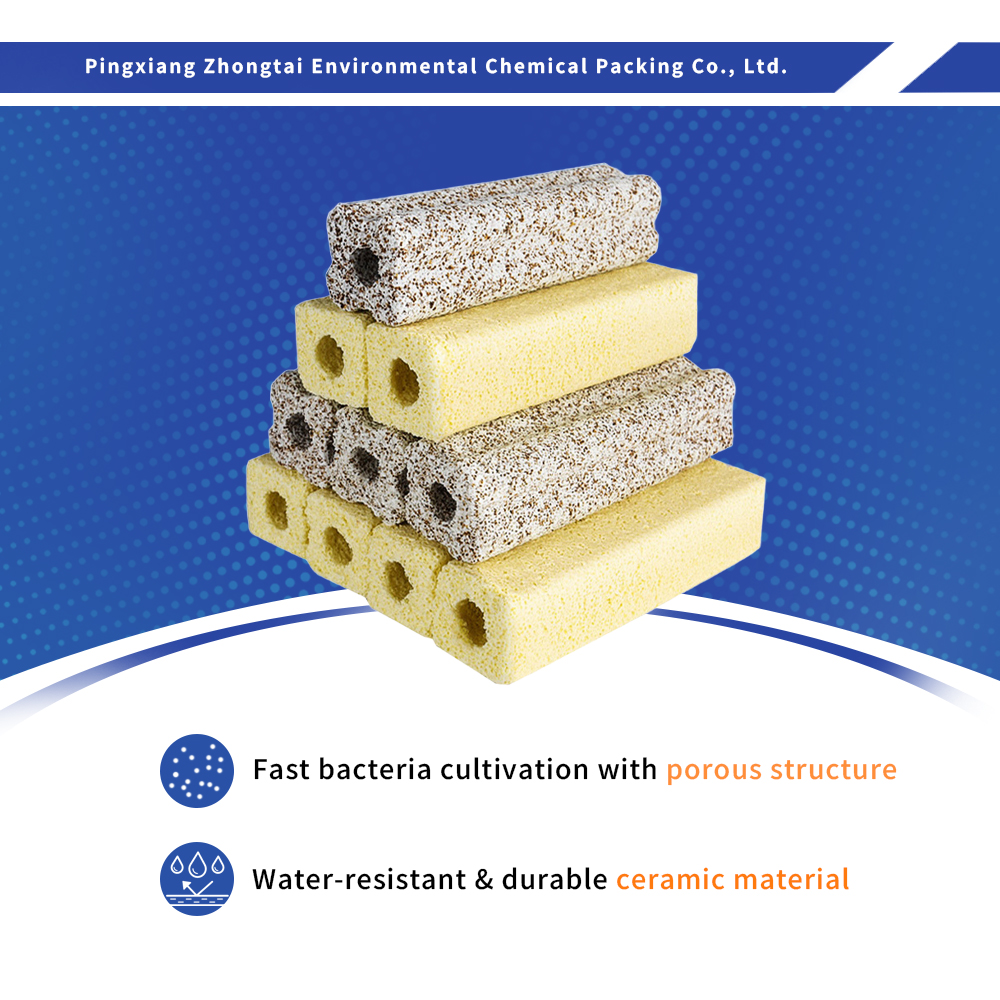 Wholesale Far-infrared Nitrifying Bacteria House - Aquarium Bio Filter Media for Bakki Shower Supplier, Factory