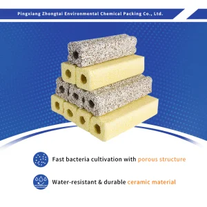 Bacteria House for Bakki Shower