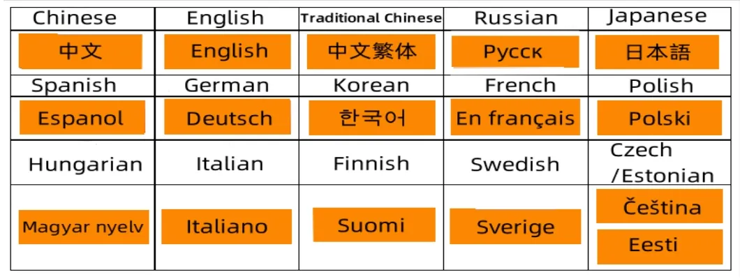 Multi-language UI system