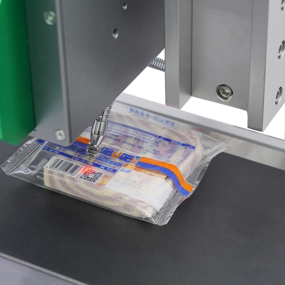UV Laser Coder 1