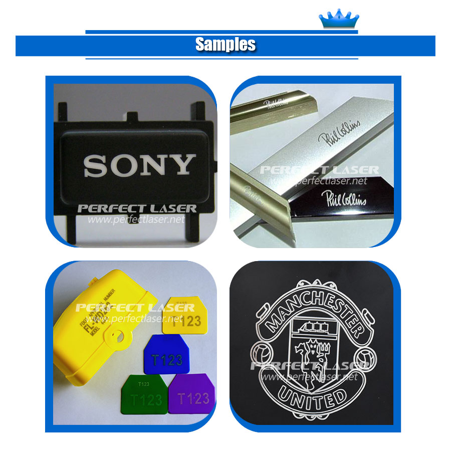 Perfect Laser-10W/20W/30W/50W/100 Watts Mini Desktop Metal Stainless Steel Raycus/Max/Ipg Jpt/Mopa Laser Marker Engraver Etching Marking Machines