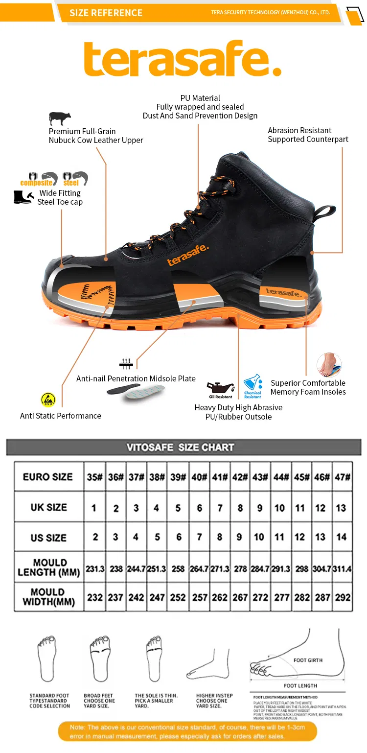 Estructura interna del zapato de seguridad