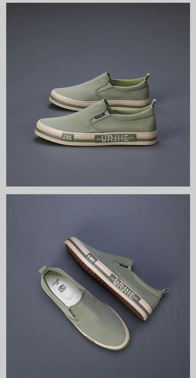 Zapatos de lona modernos
