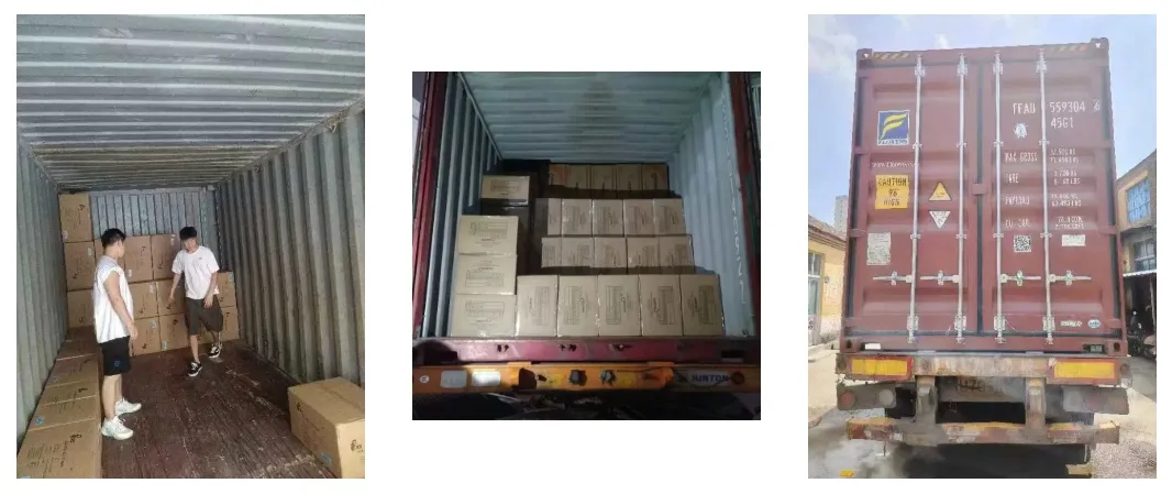 Calzado de rendimiento para exteriores en terrenos rocosos con diseño de patrón de profundidad en la suela