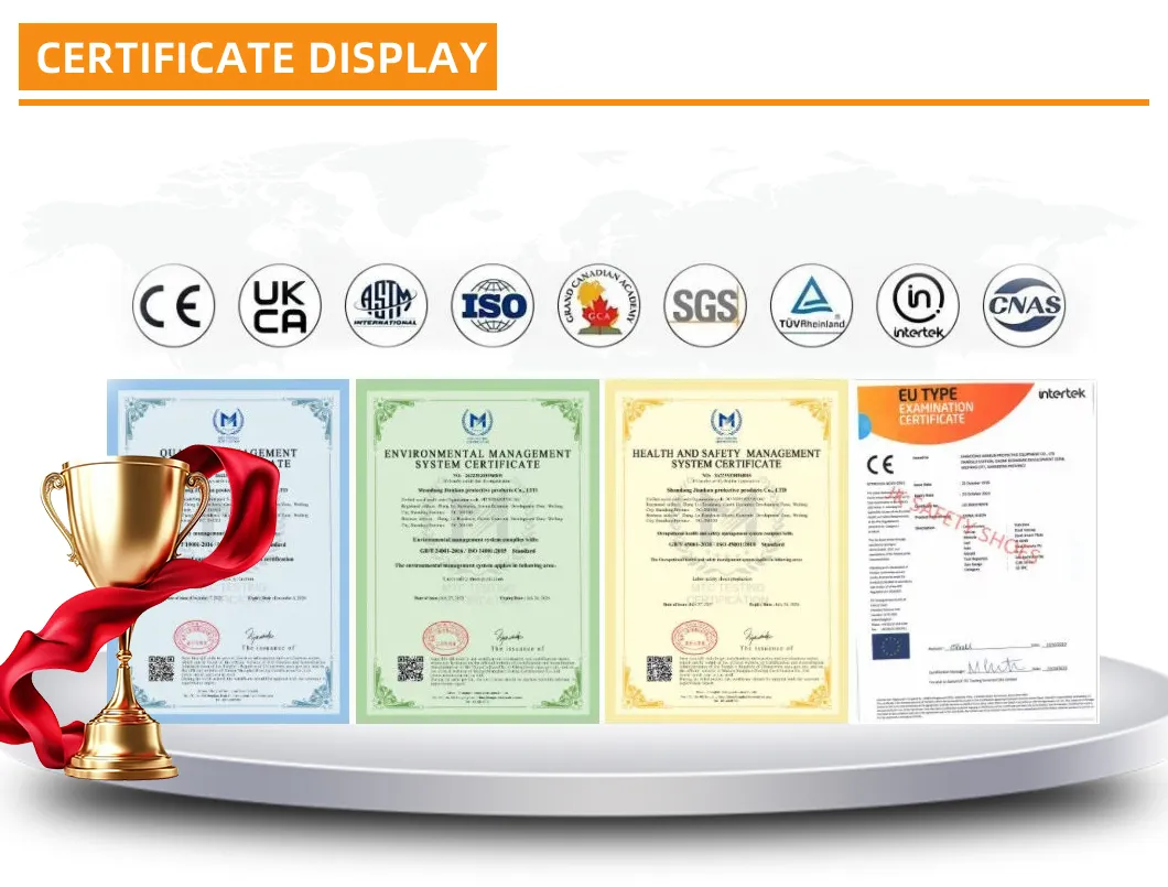 Certificados de calidad de calzado de seguridad internacional