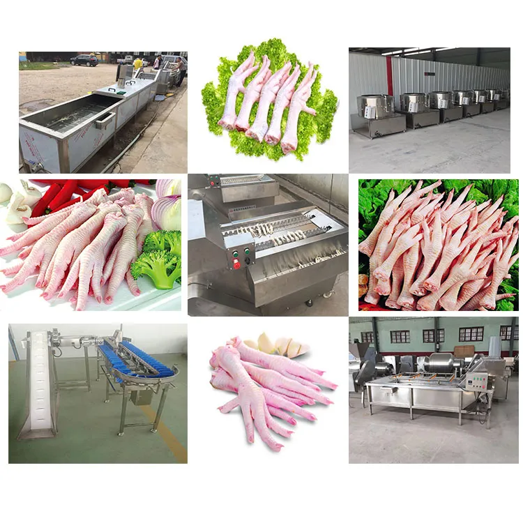 Linha de Equipamento de Processamento