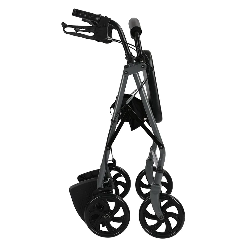 Suporte de Mobilidade 2