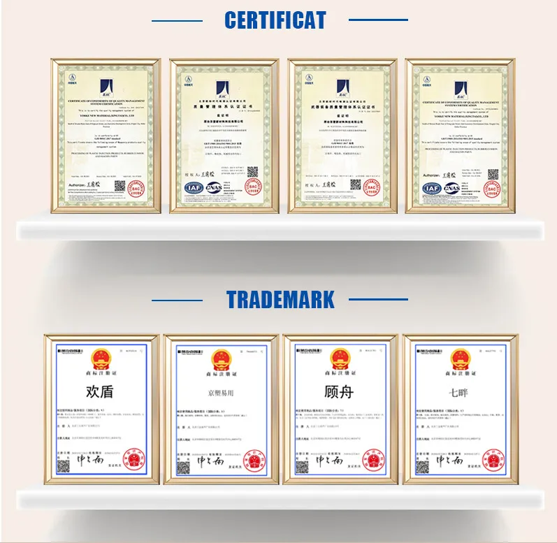Certificado 2
